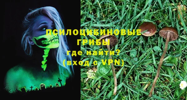 тгк Балахна