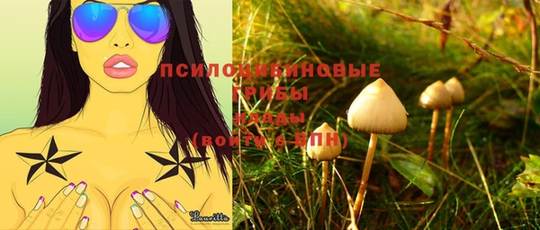тгк Балахна